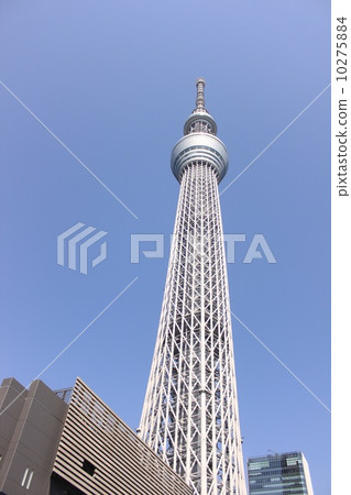 東京天空樹 東京天空樹 10275884