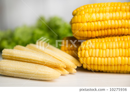 Sweet corn 10275936