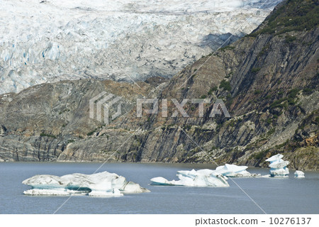 USA Alaska - Mendenhall Glacier USA Alaska - Mendenhall Glacier 10276137