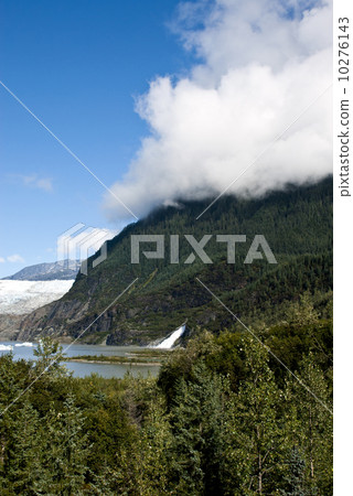 USA Alaska - Mendenhall Glacier  10276143