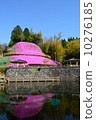 Maruike spring and grass cherry blossoms 10276185