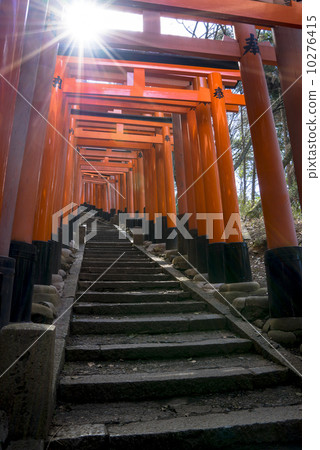 Senbon Torii 10276415