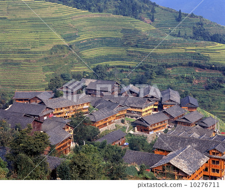 Ryuu Spring Boda 10276711