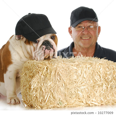 man and his dog man and his dog 10277009