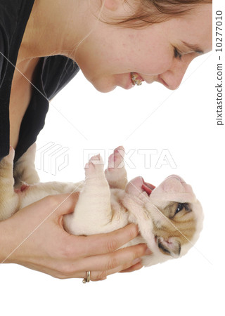 woman and young puppy 10277010