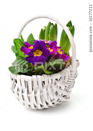 Spring bouquet 10277212