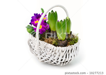 Spring bouquet Spring bouquet 10277213