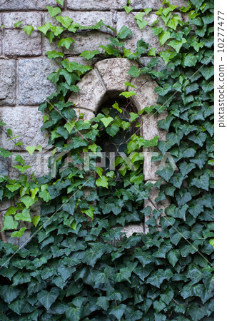 Ancient castle window 10277477