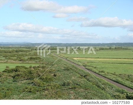 Sarobetsu Wilderness Observation Deck 10277580