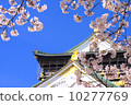 Castles and cherry blossoms 10277769
