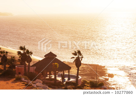 Ocean coast 10277860