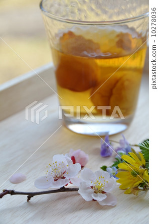 梅酒 梅酒 10278036