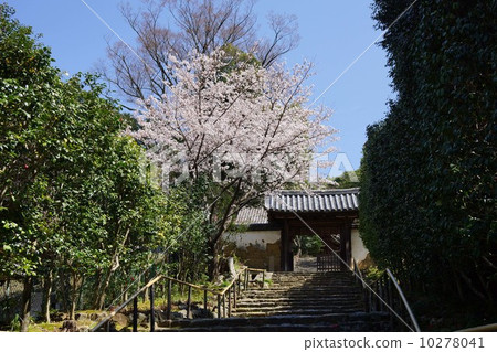百枕頭的山門 10278041