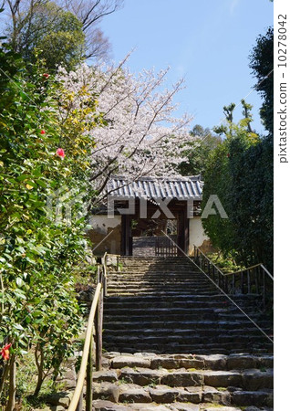 百枕頭的山門 百枕頭的山門 10278042