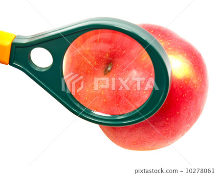 Worm-eaten apple under magnifying glass. Worm-eaten apple under magnifying glass. 10278061
