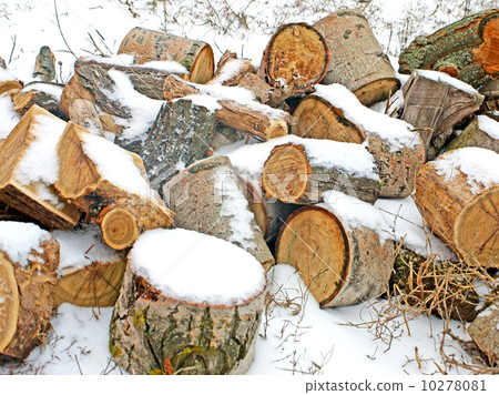 Pile of fire wood. Pile of fire wood. 10278081