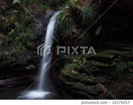 Kurosan Mitsubaki's waterfall 10278857