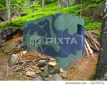 Small bunker 10279751