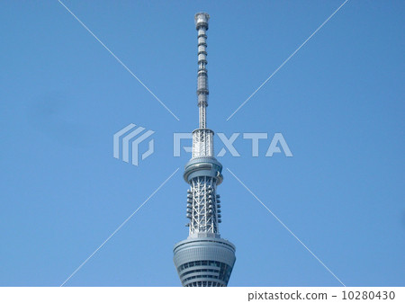 天空樹 10280430