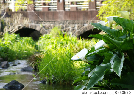 Genpei River 10280650