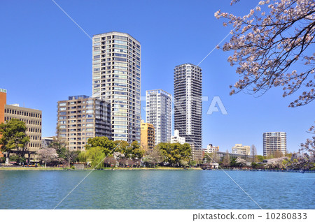 上野帝國公園和塔樓 10280833