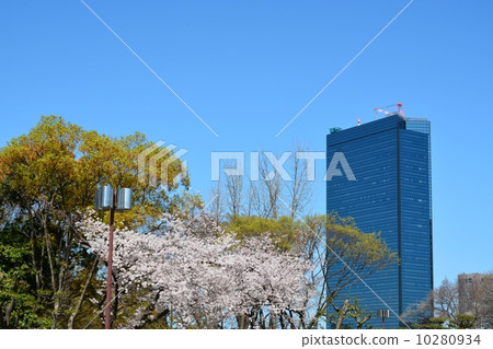 城市景觀春天的春天 城市景觀春天的春天 10280934