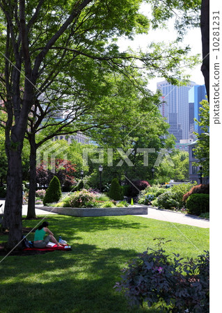 紐約 紐約 10281231