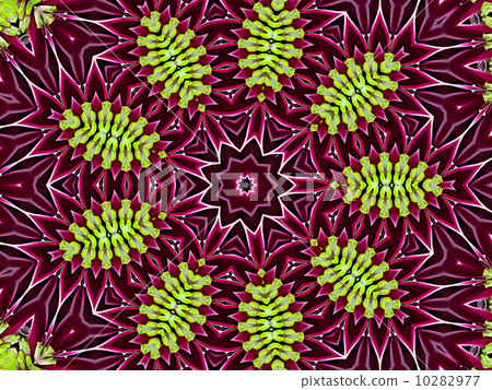 Chrysanthemum natural pattern 10282977