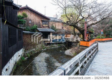 京都祗園白川 10283466