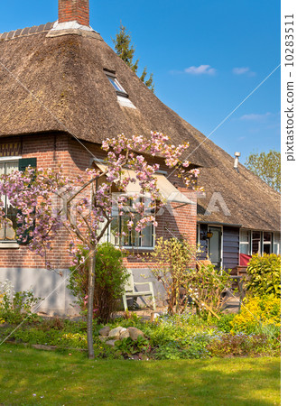 Beautiful traditional Dutch house with a thatched roof 10283511