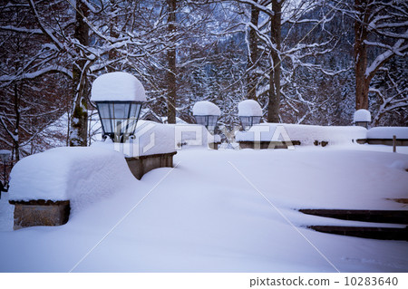 Snowy lamps near house in the woods 10283640