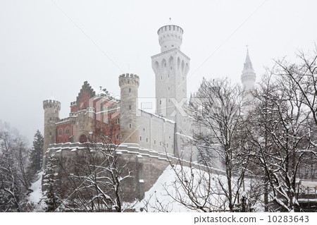 Bavarian Neuschwanstein Castle at snowy winter 10283643