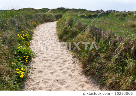 Sand footpath through dunes Sand footpath through dunes 10283866