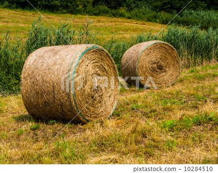 Straw packages 10284510