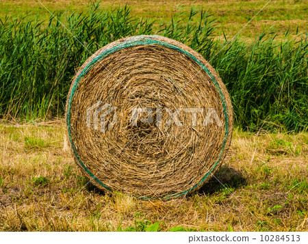 Straw package 10284513
