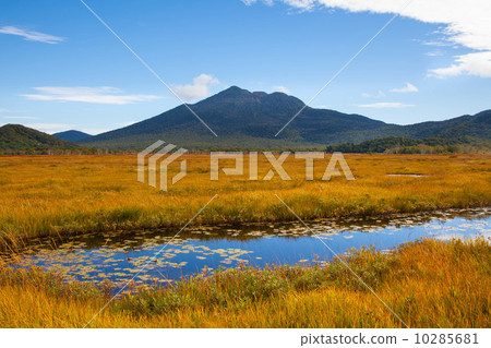 Oze National Park 10285681