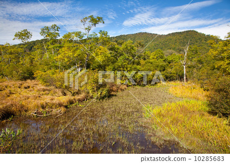 Oze National Park 10285683