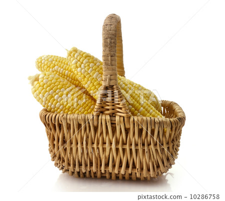 Ears of corn Ears of corn 10286758