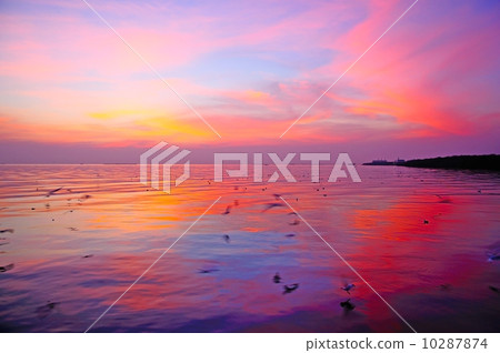 sundown sundown 10287874