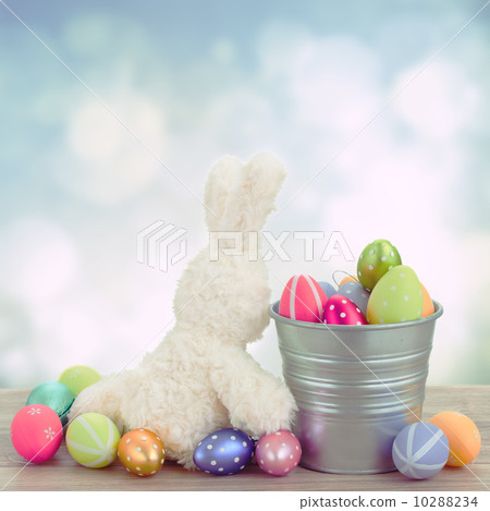 egg hunt with easter bunny egg hunt with easter bunny 10288234