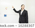 Working business woman 10288307