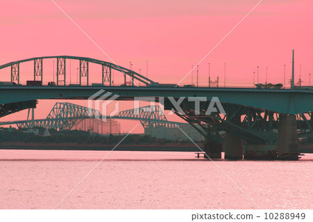 Tokyo Gate Bridge Pink with Capital High Tokyo Gate Bridge Pink with Capital High 10288949
