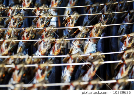 Dried fish Dried fish 10289626