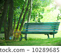  Bench in the forest 10289685