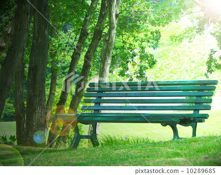 Bench in the forest Bench in the forest 10289685
