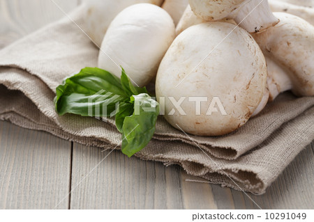 fresh white champignon on wood table fresh white champignon on wood table 10291049