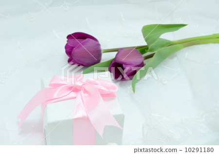 Tulip 10291180