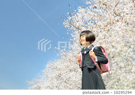 New freshman first girl (cherry blossoms) 10295294