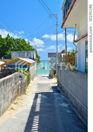 Okinawa scenery 10295296