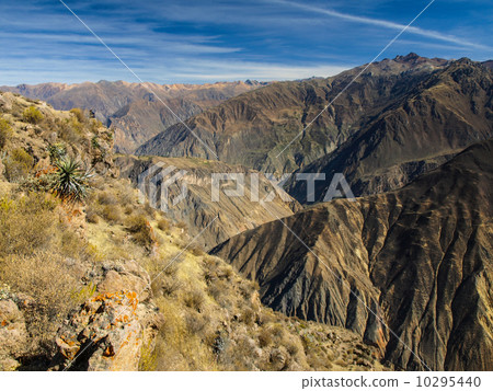 Colca Canyon 10295440